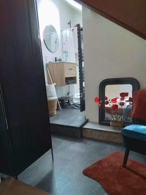 Charmante Petite Maison Vieux  Esterno foto