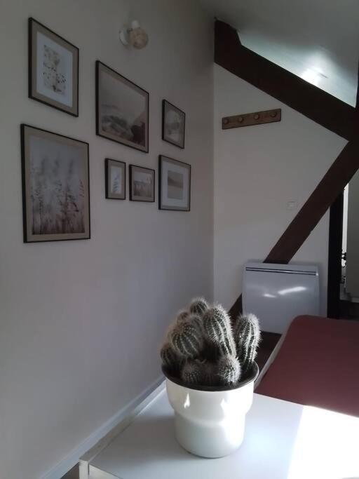 Charmante Petite Maison Vieux  Esterno foto